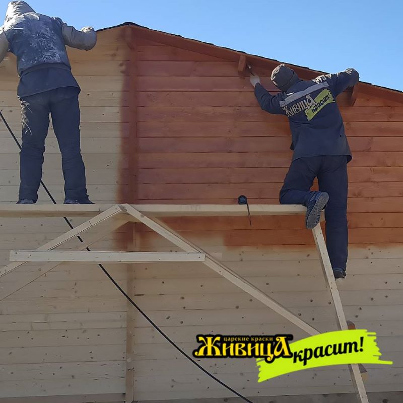 Покраска деревянного дома натуральным маслом Живица Покраска деревянного дома натуральным маслом Живица