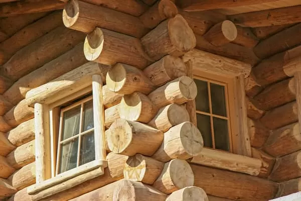Дом из бревна
