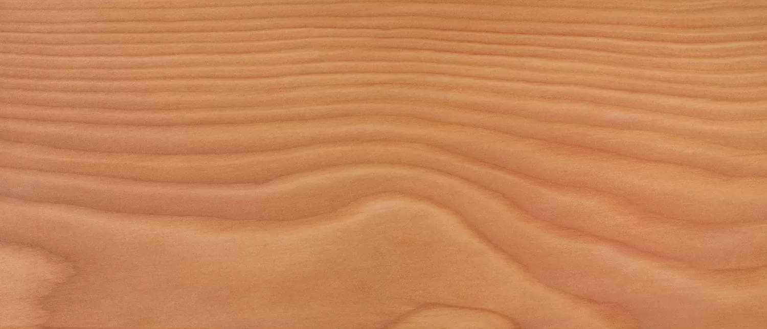 Колер 191 Лиственница 0,1 л