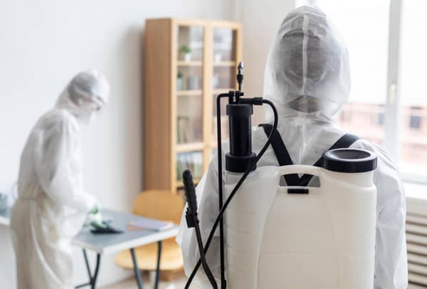 Профессиональная обработка от насекомых