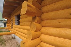 сруб дома сруб дома